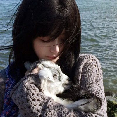 独臂拳王大破血滴子